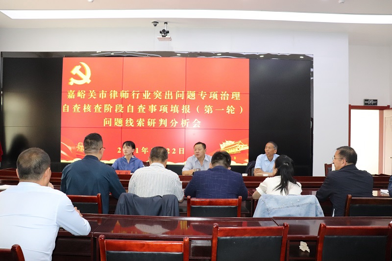嘉峪关市司法局组织召开律师行业突出问题专项治理自查核查阶段自查事项填报（第一轮）问题线索研判分析会1.JPG